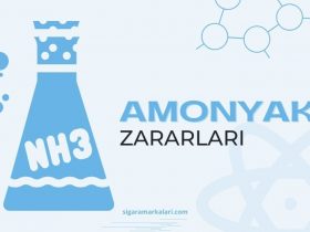 Amonyak Zararları