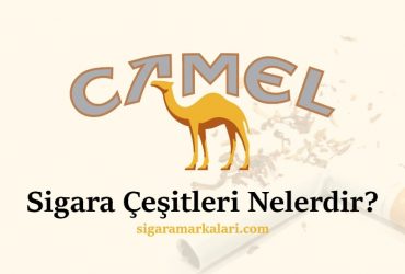 Camel Sigara Çeşitleri